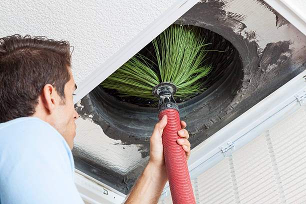 Best Dryer Vent Cleaning Services  in Kahuku, HI