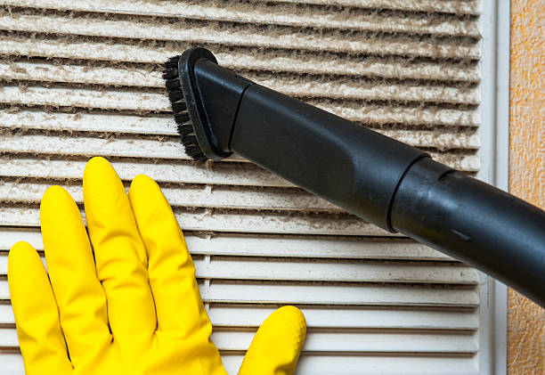 Best Air Vent Cleaning Services  in Kahuku, HI